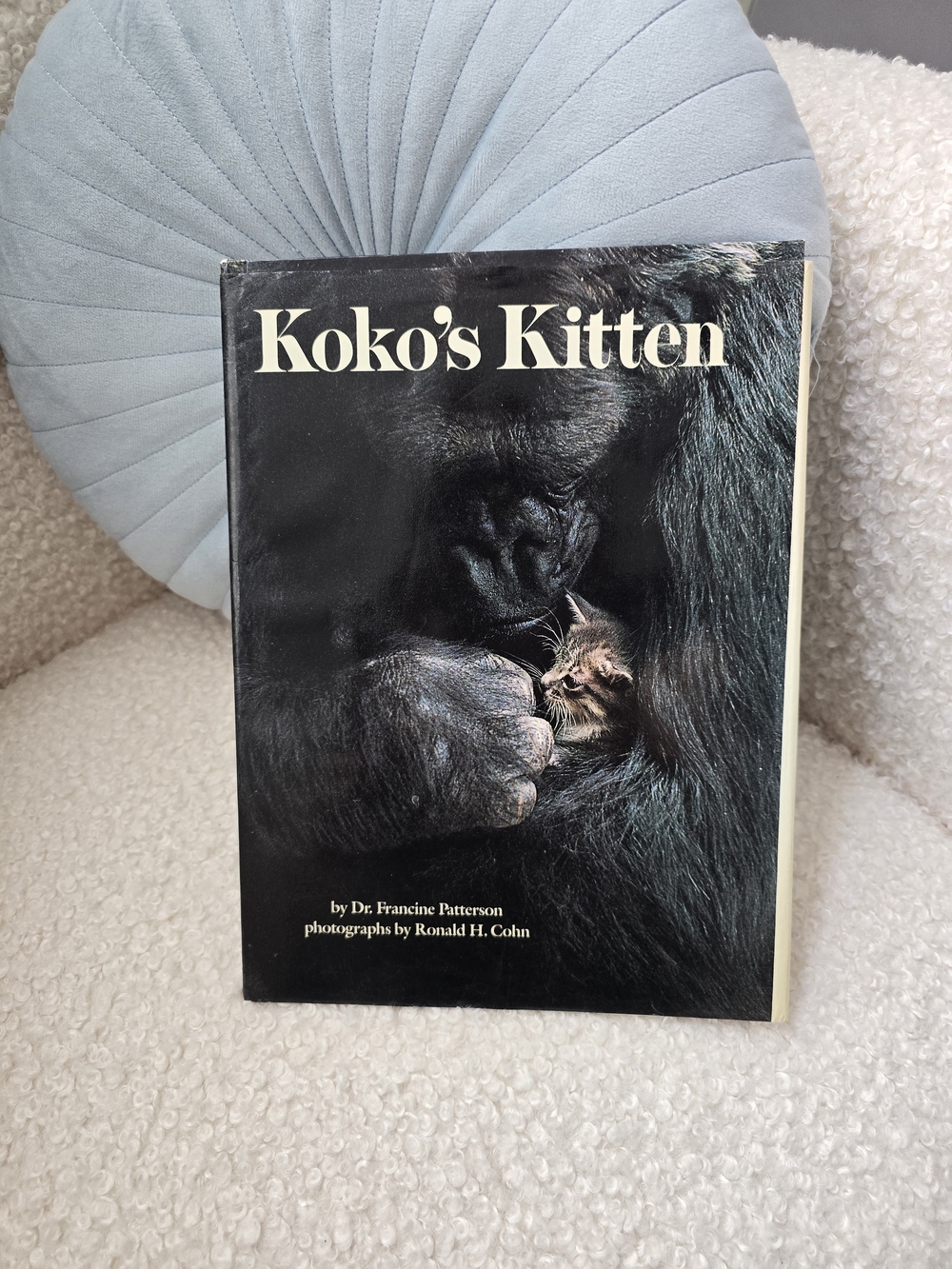 Scholastic Koko's Kitten Picture Book - Black Cover with White Title